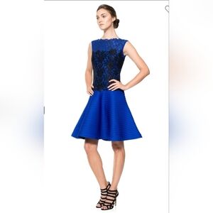 Tadashi Shoji Blue Black Lace Fit & Flare Dress Size 12 Cocktail Evening Party